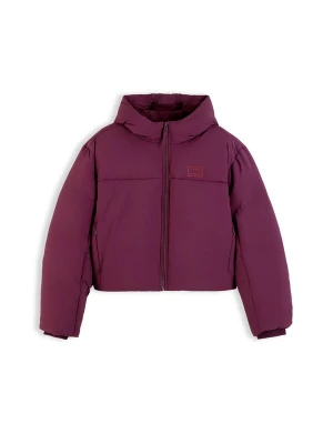 Obrázek produktu Tommy Jeans Zimní bunda lilek
