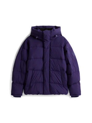 Obrázek produktu Tommy Jeans Zimní bunda tmavě fialová