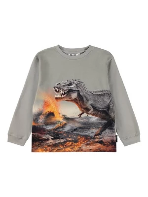 Obrázek produktu Top s dlouhým rukávem Molo