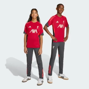 Obrázek produktu Tréninkové kalhoty Liverpool FC Tiro 25 Competition Adidas Utility Black