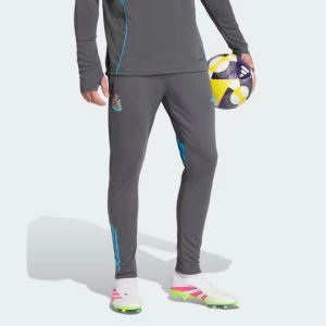 Obrázek produktu Tréninkové kalhoty Newcastle United FC Tiro 25 Competition Adidas Grey Five