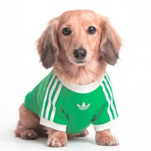 Obrázek produktu TRIČKO PRO DOMÁCÍ ZVÍŘATA CALI Adidas zelená
