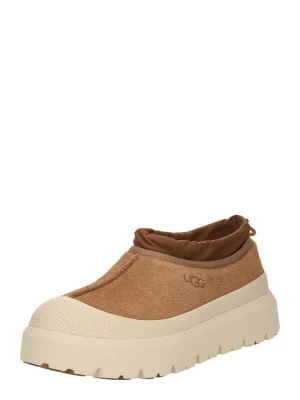 Obrázek produktu UGG Slipper 'Tasman' hnědá
