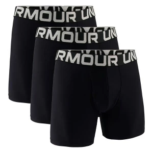 Obrázek produktu UNDER ARMOUR Boxerky černá / bílá