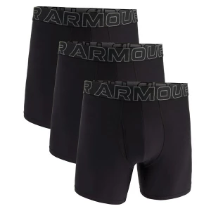 Obrázek produktu UNDER ARMOUR Boxerky šedá / černá