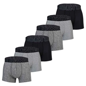 Obrázek produktu UNDER ARMOUR Boxerky šedá / černá