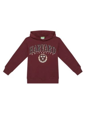 Obrázek produktu United Colors Of Benetton Mikina 32N4C204U Bordó Regular Fit