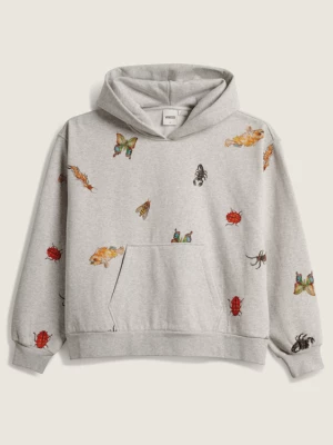 Obrázek produktu Vans - VANSZA Bug Out Hoodie, Woman, Grey