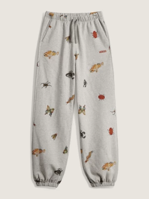 Obrázek produktu Vans - VANSZA Bug Out Sweatpants, Woman, Grey