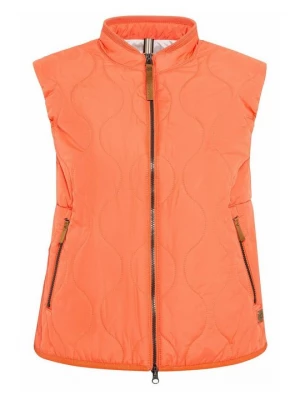 Obrázek produktu Vesta Camel Active meruňková
