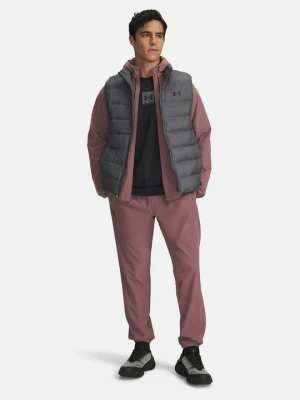 Obrázek produktu Vesta Under Armour