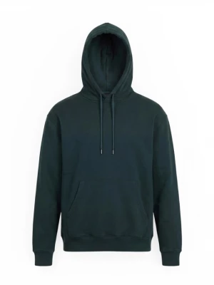Obrázek produktu Volcom Mikina 'SINGLE STONE' tmavě zelená