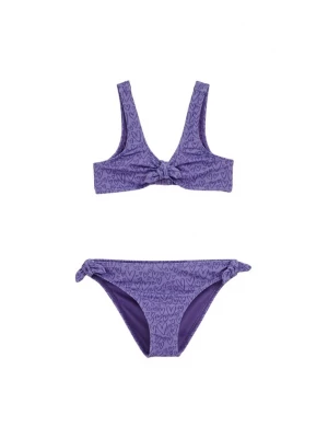 Obrázek produktu WE Fashion Bikiny fialová / světle fialová