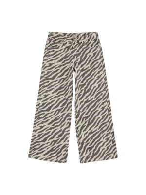 Obrázek produktu WE Fashion Džíny béžová / tmavě šedá
