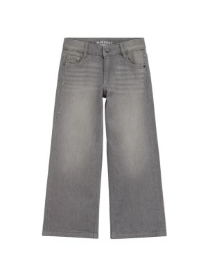 Obrázek produktu WE Fashion Džíny šedá džínová
