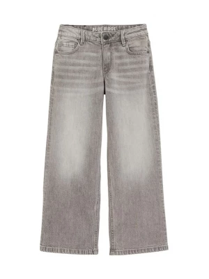 Obrázek produktu WE Fashion Džíny světle šedá