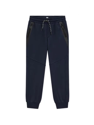 Obrázek produktu WE Fashion Kalhoty tmavě modrá