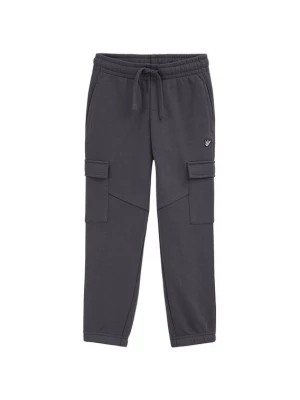 Obrázek produktu WE Fashion Kalhoty tmavě šedá