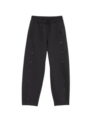 Obrázek produktu WE Fashion Kalhoty tmavě šedá
