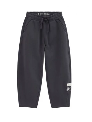 Obrázek produktu WE Fashion Kalhoty tmavě šedá