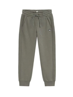 Obrázek produktu WE Fashion Kalhoty zelená