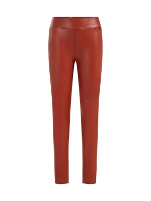 Obrázek produktu WE Fashion Legíny kaštanově hnědá