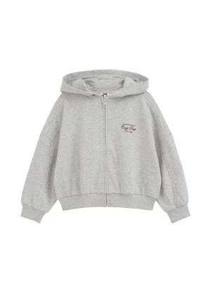 Obrázek produktu WE Fashion Mikina šedý melír