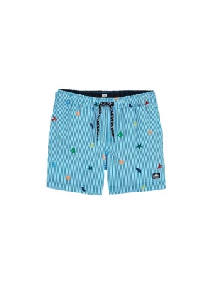 Obrázek produktu WE Fashion Plavky modrá / mix barev