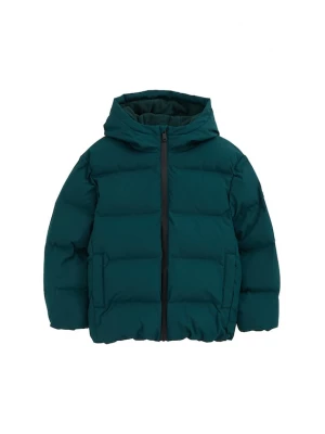 Obrázek produktu WE Fashion Přechodná bunda tmavě zelená