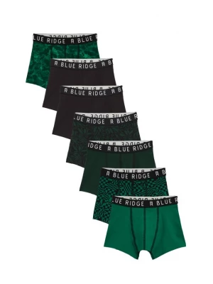 Obrázek produktu WE Fashion Spodní prádlo zelená / smaragdová / tmavě zelená / černá