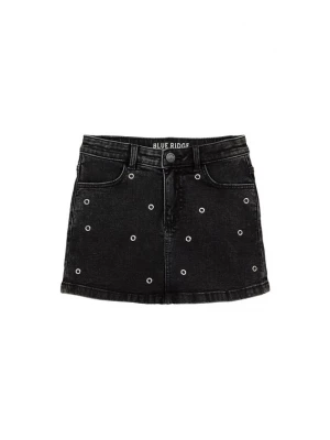 Obrázek produktu WE Fashion Sukně černá