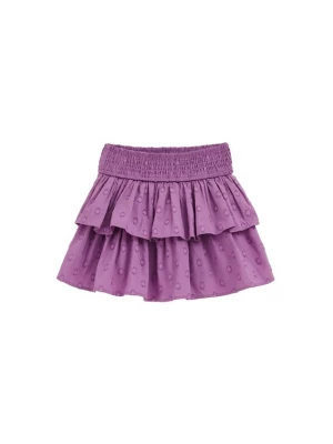 Obrázek produktu WE Fashion Sukně fialová / světle fialová