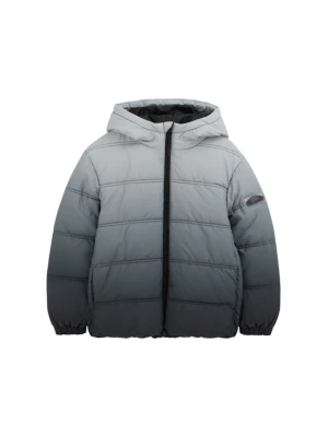 Obrázek produktu WE Fashion Zimní bunda světle šedá / tmavě šedá