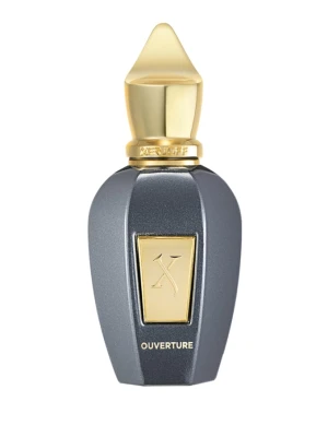 Obrázek produktu Xerjoff Vibe Ouverture Eau de Parfum 50 ml