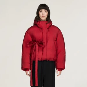 Obrázek produktu ZATEPLENÁ BUNDA Y-3 S KAPUCÍ Adidas Active Maroon