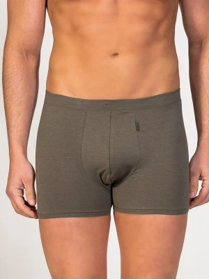 Obrázek produktu zd ZERO DEFECTS Boxerky 'Apolo Soy fiber' tmavě zelená