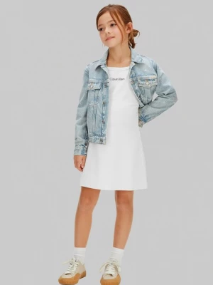 Obrázek produktu Žerzejové šaty Calvin Klein Jeans