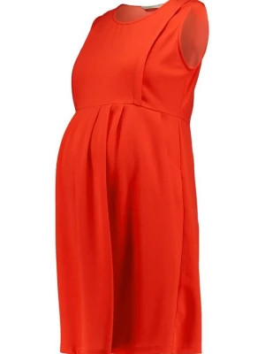 Obrázek produktu Žerzejové šaty Spring Maternity červená