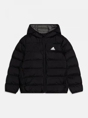 Obrázek produktu Zimní bunda Adidas černá