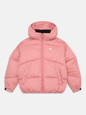 Obrázek produktu Zimní bunda Calvin Klein Jeans světle růžová