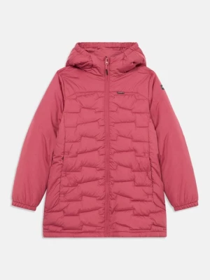 Obrázek produktu Zimní bunda icepeak