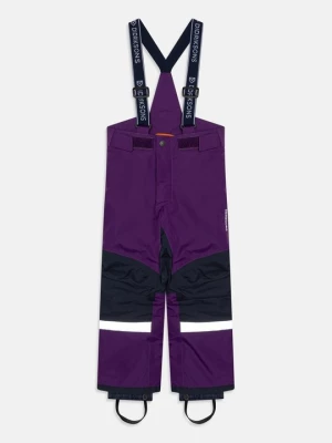 Obrázek produktu Zimní kalhoty Didriksons