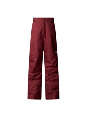 Obrázek produktu Zimní kalhoty The North Face