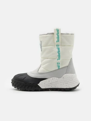 Obrázek produktu Zimní obuv Timberland